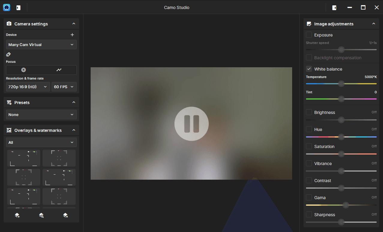 CamoStudio2® application preview.